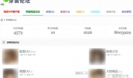 黄网视频,暗流涌动的网络暗角